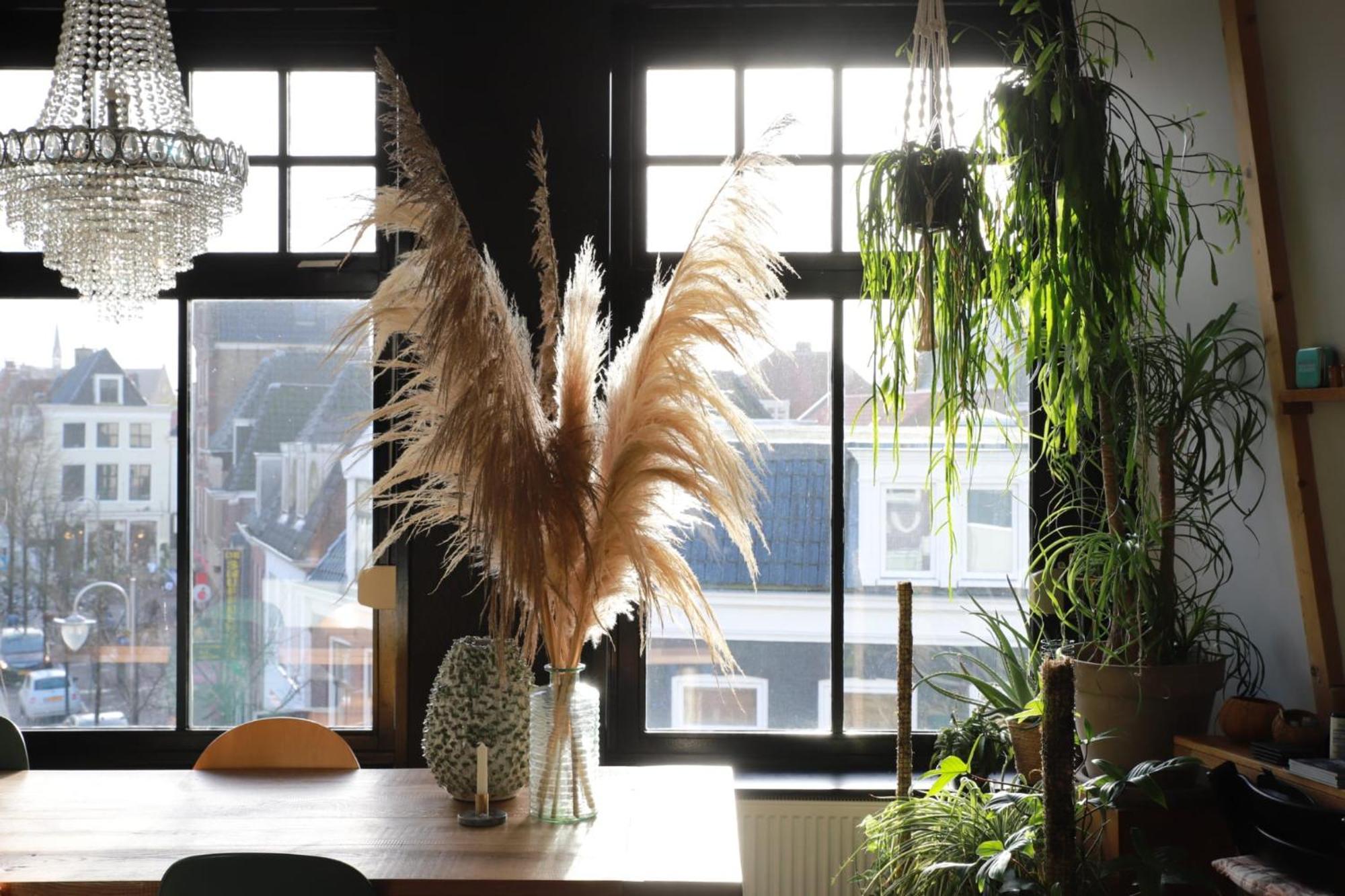 Stadslogement Valentijn スネーク エクステリア 写真